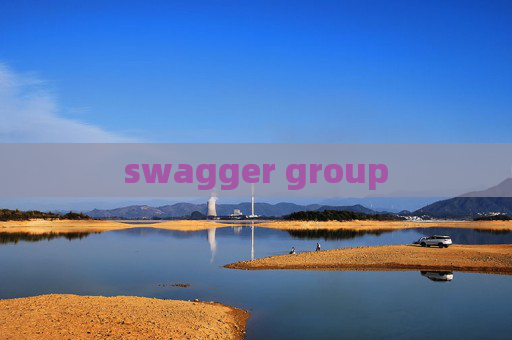 swagger group swagger group